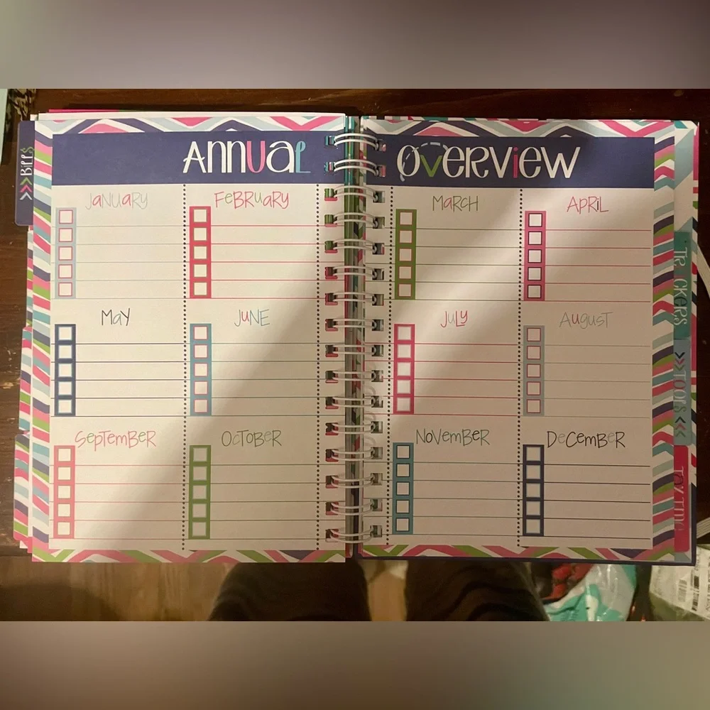 Denise Albright Budget Binder™ Bill Tracker Financial Planner | Geo Design. NEW